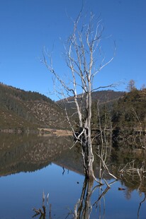 普达措森林公园