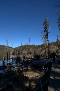 普达措森林公园