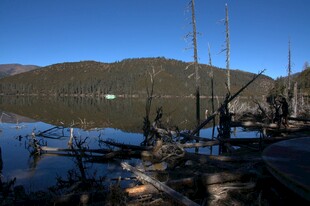 普达措森林公园