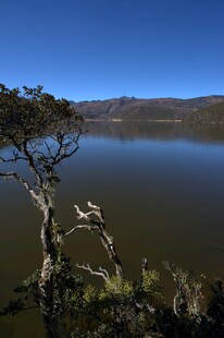 普达措森林公园