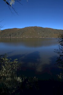 普达措森林公园