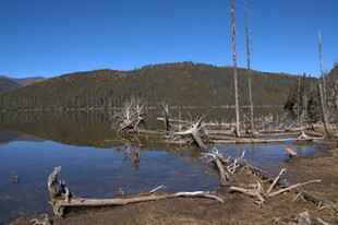 普达措森林公园