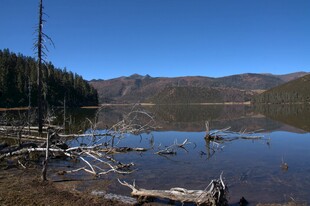 普达措森林公园