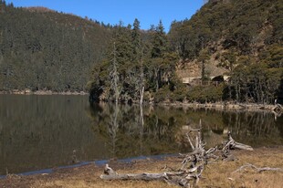 普达措森林公园