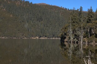 普达措森林公园