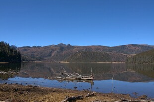 普达措森林公园