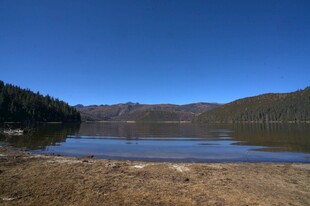 普达措森林公园