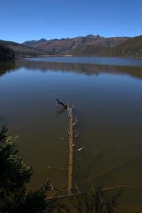 普达措森林公园