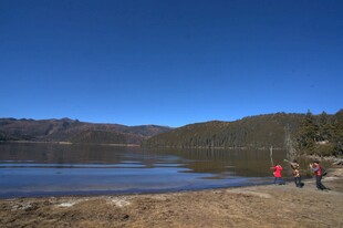 普达措森林公园