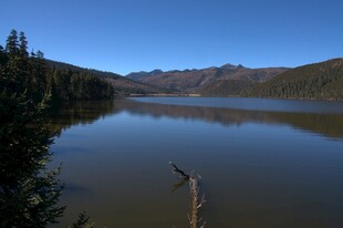 普达措森林公园