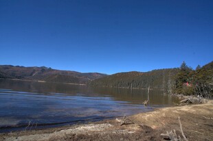 普达措森林公园