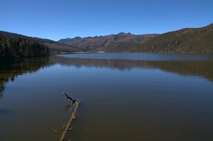 普达措森林公园