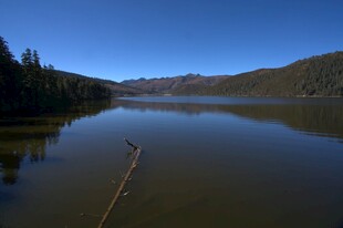 普达措森林公园