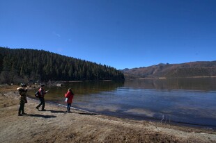 普达措森林公园