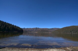 普达措森林公园