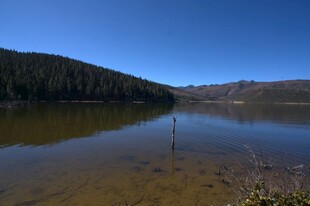 普达措森林公园