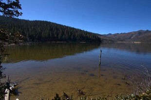 普达措森林公园