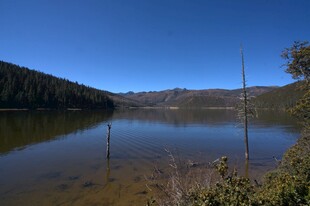 普达措森林公园
