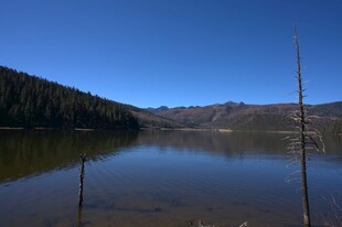 普达措森林公园