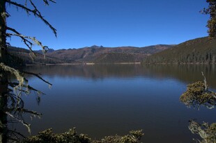 普达措森林公园