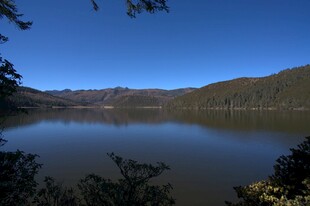 普达措森林公园