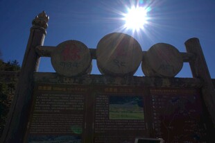 普达措森林公园