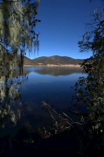 普达措森林公园