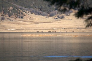 普达措森林公园