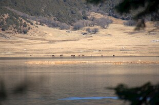 普达措森林公园