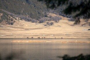 普达措森林公园