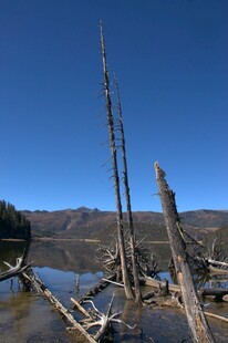 普达措森林公园