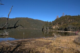 普达措森林公园