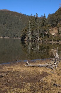 普达措森林公园