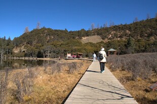 普达措森林公园