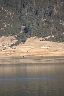 普达措森林公园