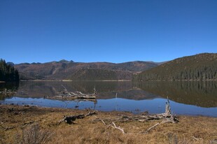 普达措森林公园