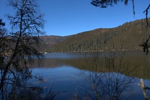 普达措森林公园