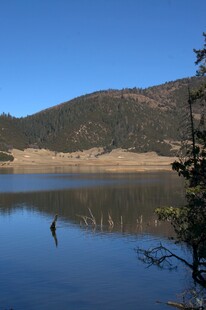 普达措森林公园