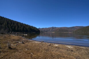 普达措森林公园