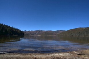 普达措森林公园