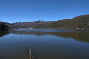 普达措森林公园