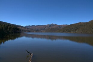 普达措森林公园