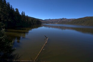 普达措森林公园