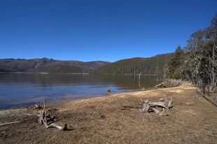 普达措森林公园