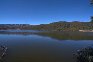 普达措森林公园