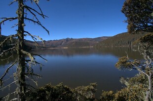 普达措森林公园