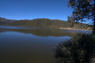 普达措森林公园