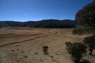 普达措森林公园