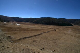 普达措森林公园