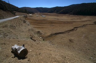 普达措森林公园